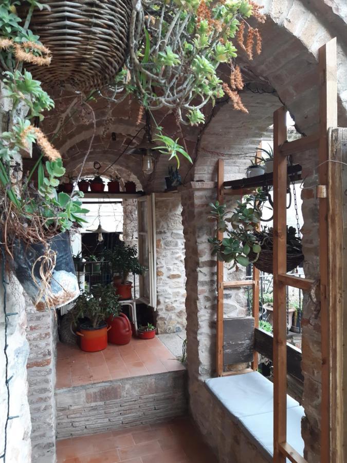 Attic With Balcony At Locanda Del Capo Capannori Zewnętrze zdjęcie
